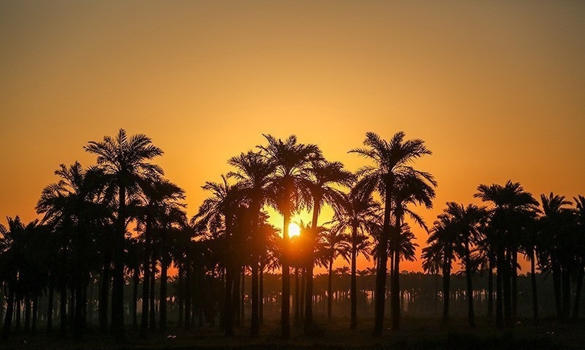 کشف گنجینه تاریخی در حفاری‌های جنوب شرق ایران