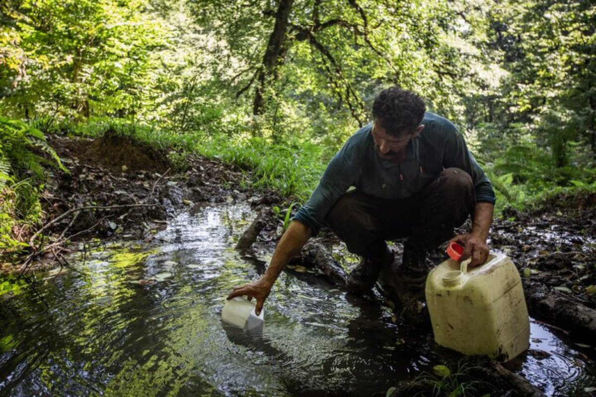 موفقیت دانشمندان ایرانی در تولید داروی ضد سرطان